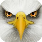 Скачать взломанную Ultimate Bird Simulator [МОД безлимитные деньги] на Андроид - Версия Зависит от устройства apk