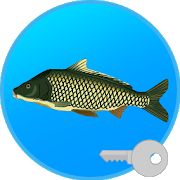 Скачать взломанную Реальная Рыбалка (ключ). Симулятор рыбной ловли. [МОД много монет] на Андроид - Версия 1.9.8.428 apk