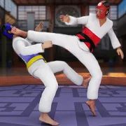 Скачать взломанную Taekwondo Fights 2020: Martial Art Fighting Games [МОД много монет] на Андроид - Версия 1.0.2 apk