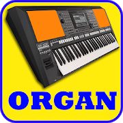 Скачать Electronic Organ, Piano, Guitar, violin, Drum Pad [Полная] на Андроид - Версия 1.9 apk