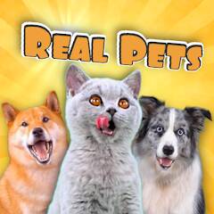 Скачать взломанную Real Pets by Fruwee [МОД открыто все] на Андроид - Версия 2.6.7 apk