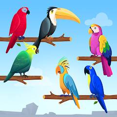Скачать взломанную Сортировка по цвету птицы [МОД много монет] на Андроид - Версия 1.3.4 apk
