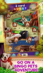 Скачать взломанную Bingo Pets Party: Dog Days [МОД открыто все] на Андроид - Версия 1.0.2 apk