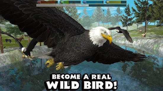 Скачать взломанную Ultimate Bird Simulator [МОД безлимитные деньги] на Андроид - Версия Зависит от устройства apk