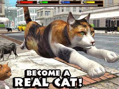 Скачать взломанную Ultimate Cat Simulator [МОД много монет] на Андроид - Версия Зависит от устройства apk