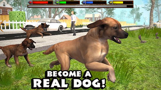 Скачать взломанную Ultimate Dog Simulator [МОД много монет] на Андроид - Версия 1.2 apk