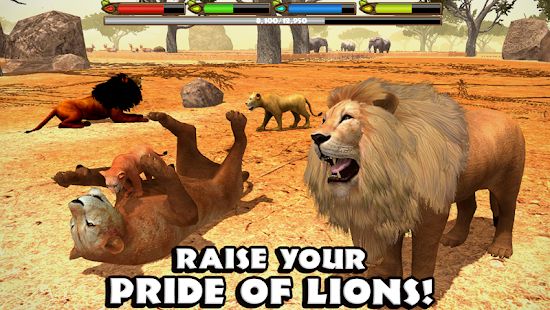 Скачать взломанную Ultimate Lion Simulator [МОД много монет] на Андроид - Версия Зависит от устройства apk