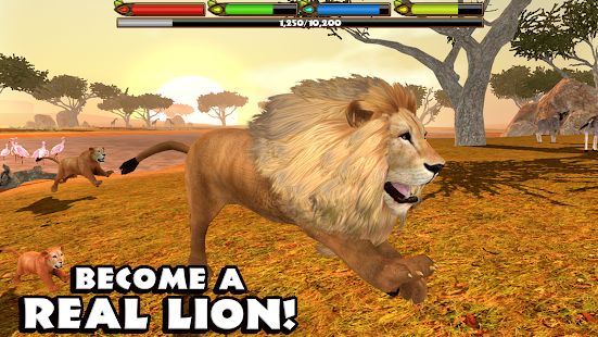 Скачать взломанную Ultimate Lion Simulator [МОД много монет] на Андроид - Версия Зависит от устройства apk