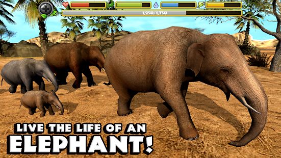Скачать взломанную Elephant Simulator [МОД безлимитные деньги] на Андроид - Версия Зависит от устройства apk