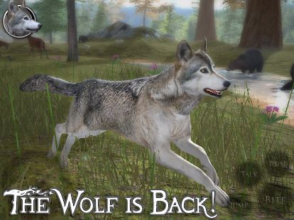 Скачать взломанную Ultimate Wolf Simulator 2 [МОД безлимитные деньги] на Андроид - Версия 1.5 apk