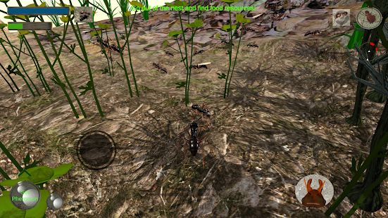 Скачать взломанную Ant Simulation 3D - Insect Survival Game [МОД безлимитные деньги] на Андроид - Версия 3.3.4 apk