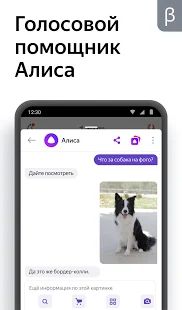 Скачать Яндекс (бета) [Полная] на Андроид - Версия 20.93 apk