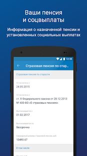 Скачать ПФР Электронные сервисы [Все открыто] на Андроид - Версия 1.2.3 apk