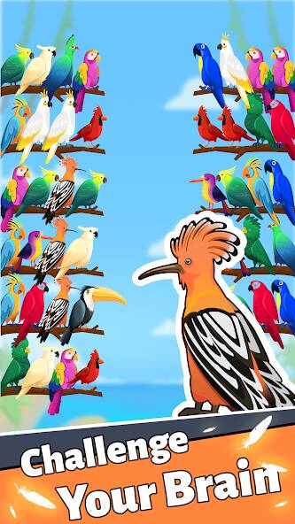 Скачать взломанную Сортировка по цвету птицы [МОД много монет] на Андроид - Версия 1.3.4 apk