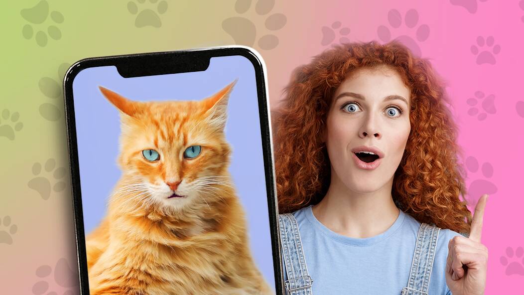 Скачать взломанную Какой ты кот? пранк [МОД безлимитные деньги] на Андроид - Версия 2.8.5 apk