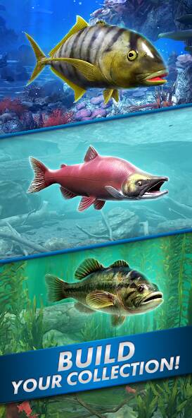 Скачать взломанную Ultimate Fishing! Fish Game [МОД много монет] на Андроид - Версия 1.6.9 apk