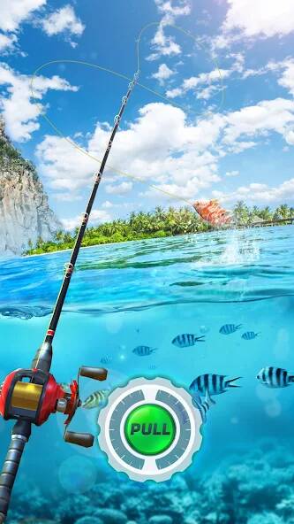 Скачать взломанную Fishing Rival 3D [МОД открыто все] на Андроид - Версия 0.2.8 apk